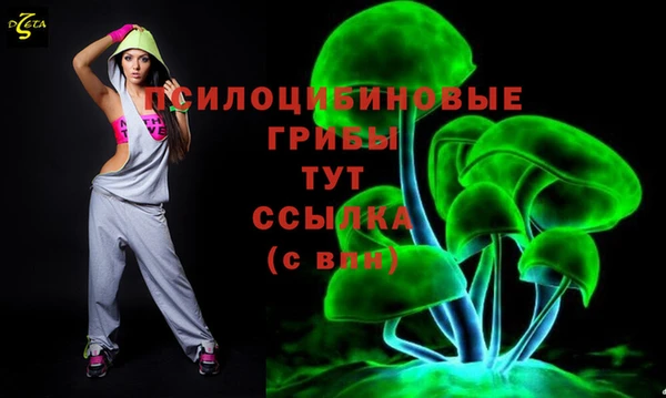 дмт Аркадак