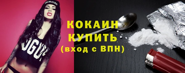 индика Баксан