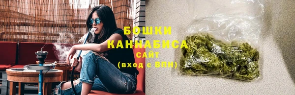 индика Баксан
