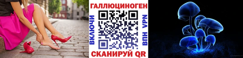 наркота  Верхняя Салда  Псилоцибиновые грибы Cubensis 